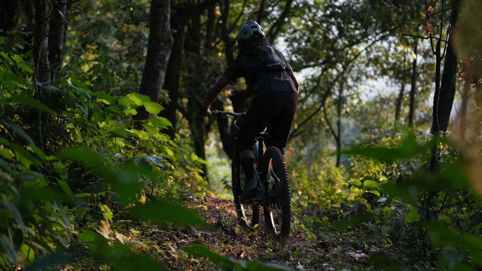 Cycliste casqué sur un sentier forestier, photo d’illustration